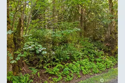 0 Oak Bay Road, Port Ludlow, WA 98365 - Photo 25
