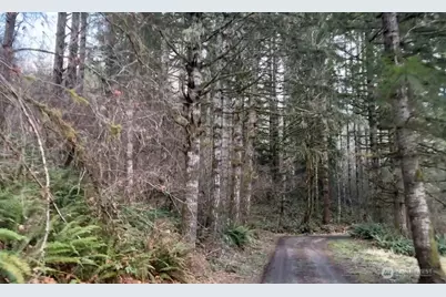130 22 Garrard Creek Road, Rochester, WA 98579 - Photo 9