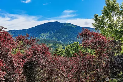 206 Mountain Park Boulevard SW #D203, Issaquah, WA 98027 - Photo 19