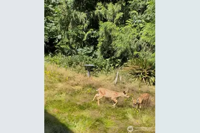 132 S Tara Lane, Port Angeles, WA 98362 - Photo 17