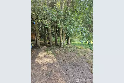 1077 Cline Road, Randle, WA 98377 - Photo 11