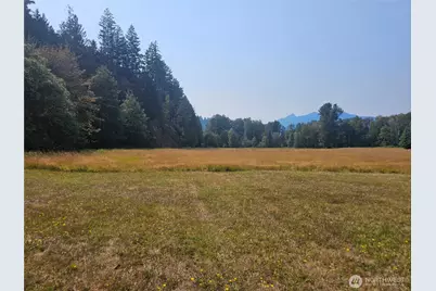 1077 Cline Road, Randle, WA 98377 - Photo 3