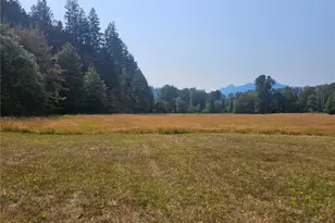 1077 Cline Rd, Randle, WA 98377 - Photo 3