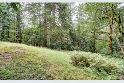 20301 NE 225th Avenue, Brush Prairie, WA 98606 - Photo 39