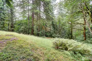 20301 NE 225th Ave, Brush Prairie, WA 98606 - Photo 39