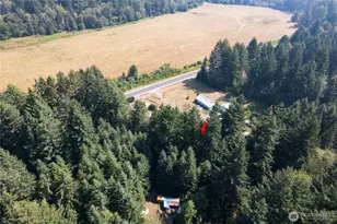 22520 State Route 706 E, Ashford, WA 98304 - Photo 13