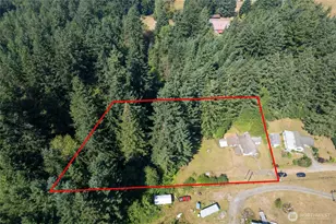 22520 State Route 706 E, Ashford, WA 98304 - Photo 7