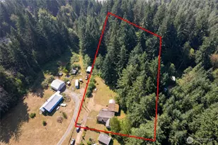22520 State Route 706 E, Ashford, WA 98304 - Photo 37