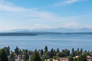 4259 SW Othello St, Seattle, WA 98136 - Photo 39