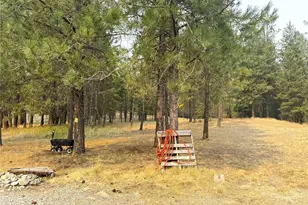 13 Cloudia Ln, Republic, WA 99166 - Photo 29