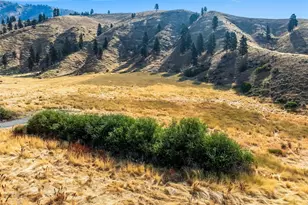 2 Nahahum Canyon Rd, Cashmere, WA 98815 - Photo 1