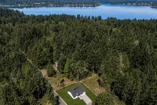 8918 127th Ave Ct, Anderson Island, WA 98303 - Photo 3