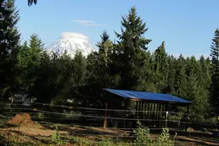 13013 224th St E, Graham, WA 98338 - Photo 39