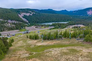 146 Mt Rainier Dr, Packwood, WA 98361 - Photo 31