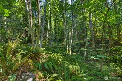 0 Nhn Woody Lane W, Anacortes, WA 98221 - Photo 5