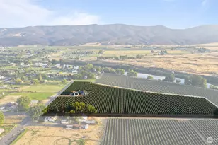 1036 Lower County Line Rd, Prosser, WA 99350 - Photo 39