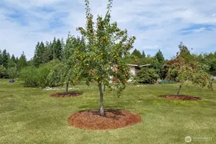 7929 NE Hunt Club Ln, Hansville, WA 98340 - Photo 27