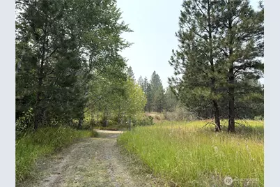 90 Gulch Road, Malo, WA 99150 - Photo 25