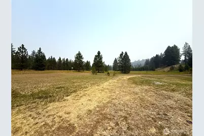 90 Gulch Road, Malo, WA 99150 - Photo 3