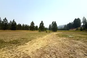 90 Gulch Rd, Malo, WA 99150 - Photo 3