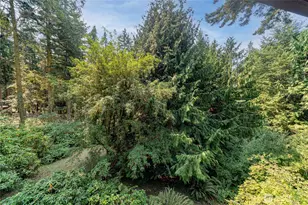 2237 Ivy St, Port Townsend, WA 98368 - Photo 29
