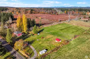 2880 Creasey Rd, Custer, WA 98240 - Photo 39