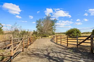 2911 E Taneum Rd, Thorp, WA 98946 - Photo 33