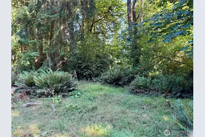10516 106th Street, Anderson Island, WA 98303 - Photo 3