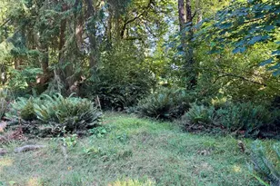 10516 106th St, Anderson Island, WA 98303 - Photo 3