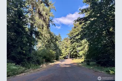 10516 106th Street, Anderson Island, WA 98303 - Photo 9