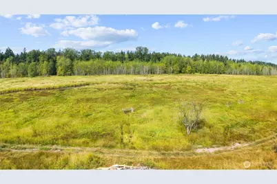 18109 Bald Hill Rd SE, Yelm, WA 98597 - Photo 23