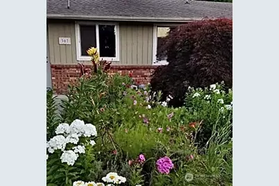 307 X Street, Tumwater, WA 98501 - Photo 35