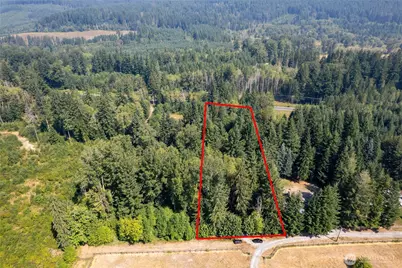 54982 214th Avenue E, Elbe, WA 98330 - Photo 3
