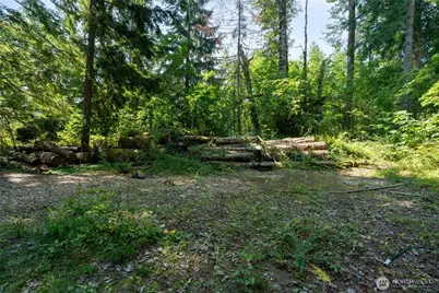 54982 214th Avenue E, Elbe, WA 98330 - Photo 21