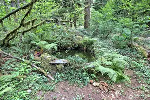 832 N Lake Cushman Rd, Hoodsport, WA 98548 - Photo 7