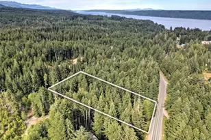 832 N Lake Cushman Rd, Hoodsport, WA 98548 - Photo 17