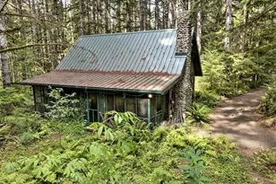 832 N Lake Cushman Rd, Hoodsport, WA 98548 - Photo 3