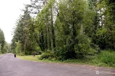 8531 NE Willow Drive, Olympia, WA 98506 - Photo 13