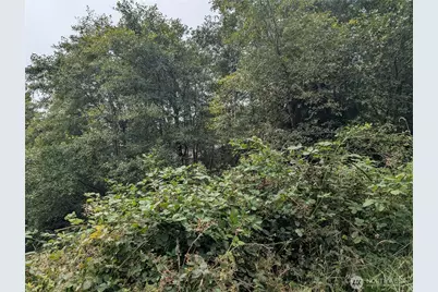 0 Lamontay Lot #6 Place, Ilwaco, WA 98624 - Photo 7