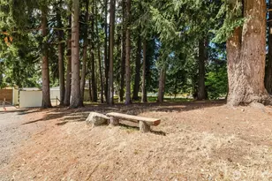 6820 Meridian Rd SE, Olympia, WA 98513 - Photo 29