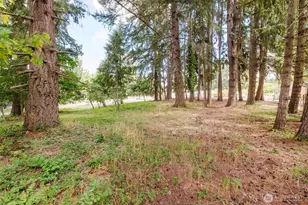 6820 Meridian Rd SE, Olympia, WA 98513 - Photo 39