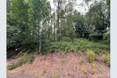 0 X Allen Drive, Kelso, WA 98626 - Photo 1