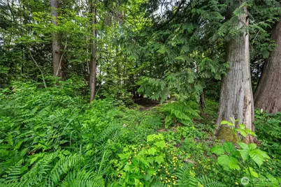 3233 Loomis Trail Road, Custer, WA 98240 - Photo 29