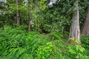 3233 Loomis Trail Rd, Custer, WA 98240 - Photo 29