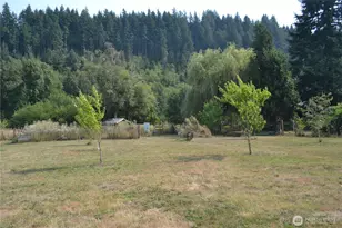 209 Waterloo Rd, Glenoma, WA 98336 - Photo 13
