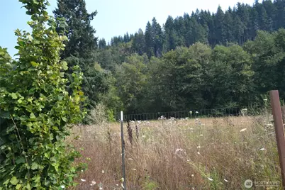 209 Waterloo Road, Glenoma, WA 98336 - Photo 5