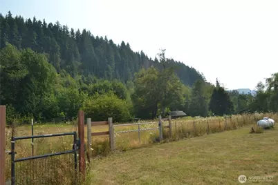 209 Waterloo Road, Glenoma, WA 98336 - Photo 7