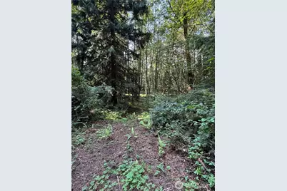 0 Squalicum Mountain Road, Bellingham, WA 98226 - Photo 9