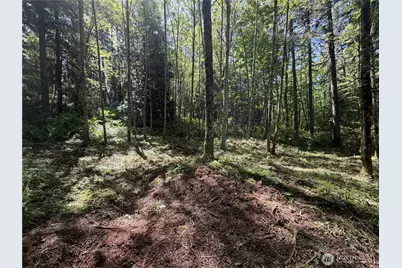 0 Squalicum Mountain Road, Bellingham, WA 98226 - Photo 7