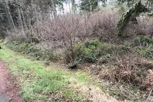 10618 Tahoma Dr, Anderson Island, WA 98303 - Photo 1